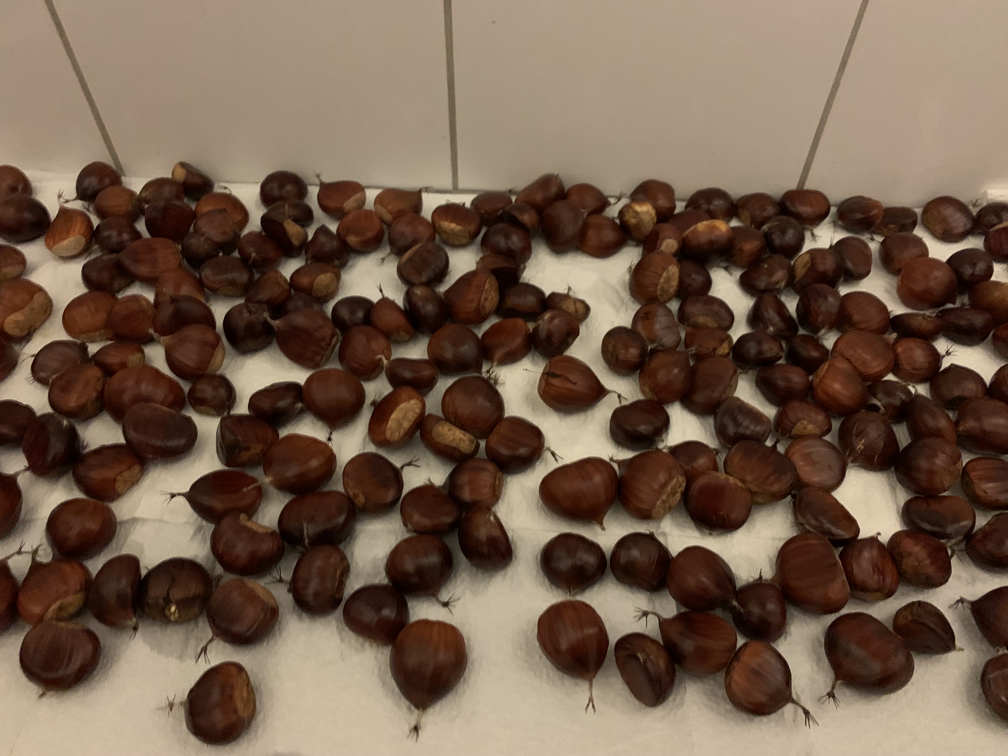 写在2025年的最后一天