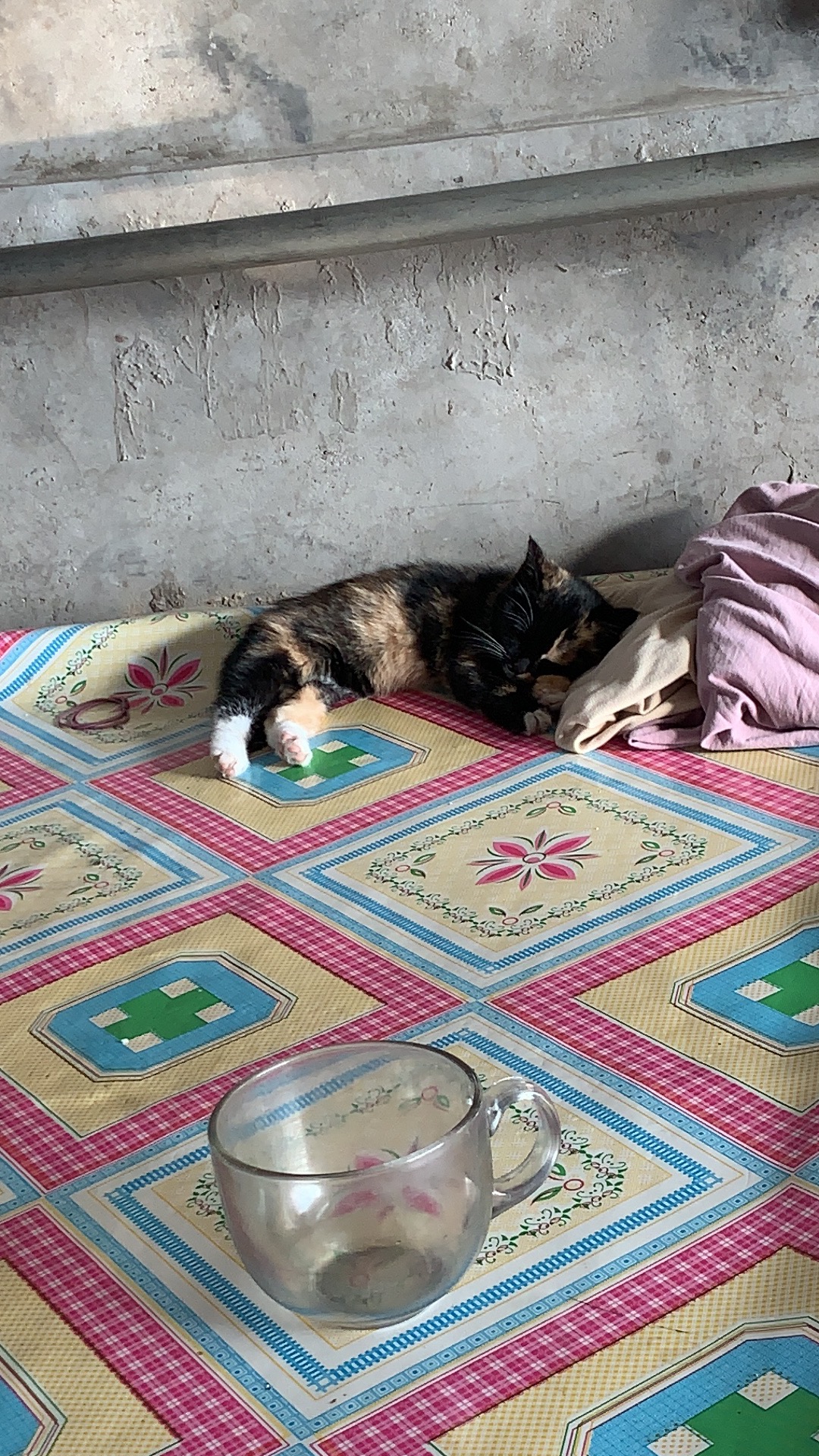 应该从哪里开始呢？